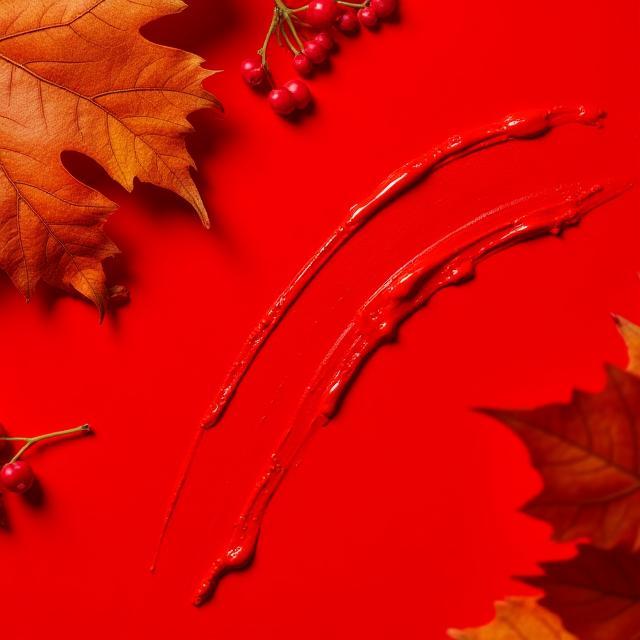 Pigment-rich cruelty-free cosmetics